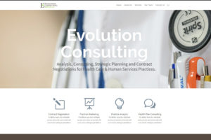 Evolution Consulting website
